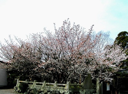 0041_003.jpg