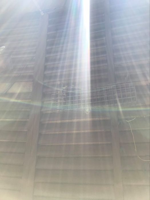 94128215_255439248984604_3298209792958398464_n.jpg