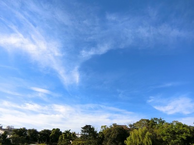 CIMG0689.JPG