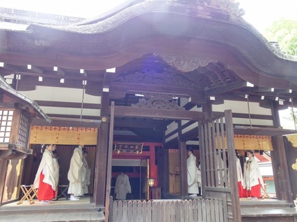 IMGP0020.JPG
