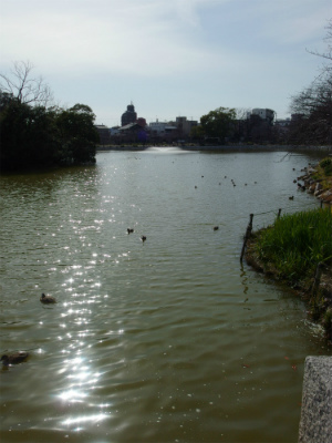 IMGP0148.jpg