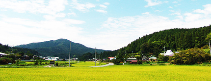 main-11.jpg