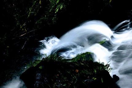 src_50623033.jpg